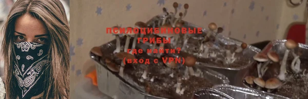 стафф Армянск