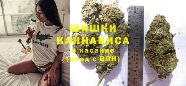 стафф Армянск