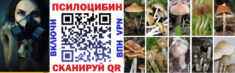 Псилоцибиновые грибы прущие грибы  Могоча 